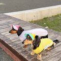 Dachshund Adjustable Sun Hat