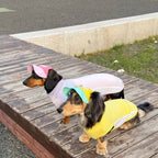Dachshund Adjustable Sun Hat