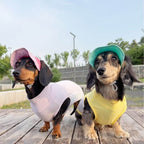 Dachshund Adjustable Sun Hat
